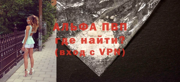 индика Весьегонск