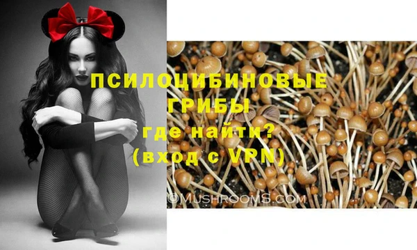 экстази Пересвет