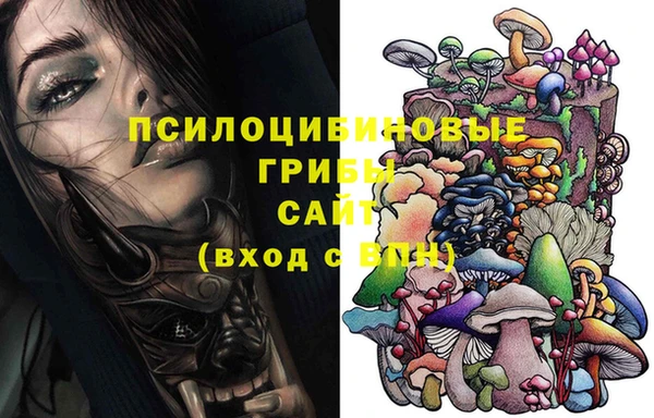 экстази Пересвет