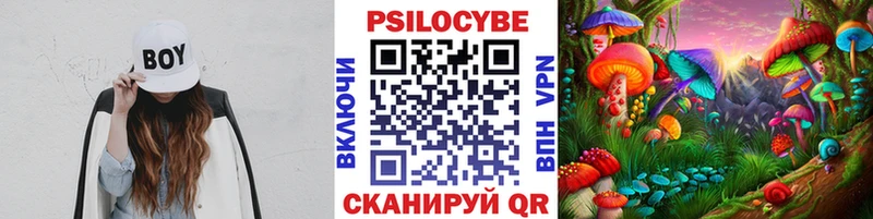 Купить Енисейск Галлюциногенные грибы Magic Shrooms