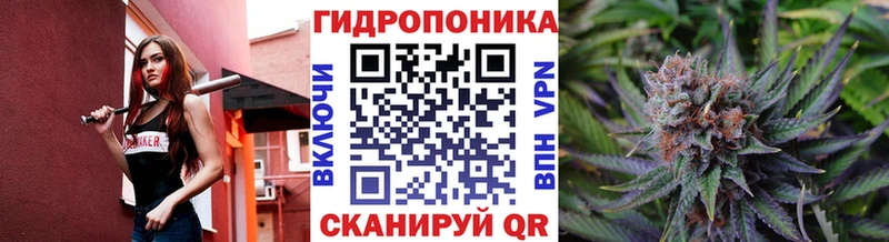 Бошки марихуана VHQ  Купить где  Енисейск 
